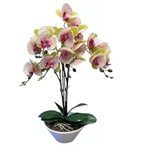 Garden Art Artificial Real Touch Orchid Flower Pot with 3 Stem 5 Flower Stick (GAOR24-0196LP) |57cm Tall Dark Pink Orchid Bonsai Faux Phalaenopsis Plant|Arrangements for Home Decoration(Light Pink)